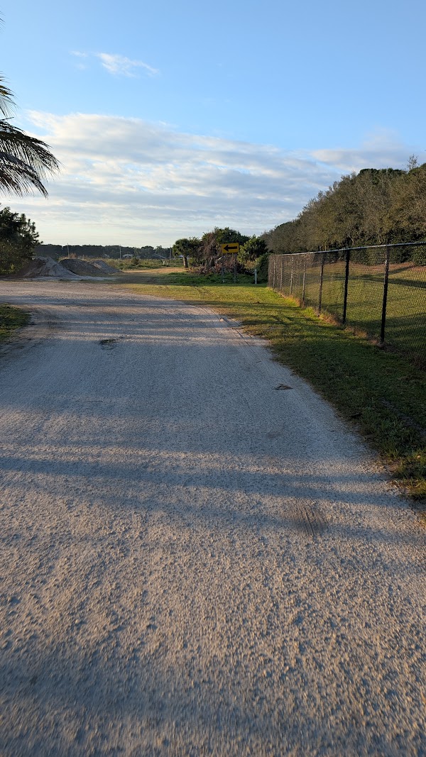 Sunset over palm trees